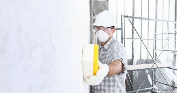 Best Mold Removal for HVAC Installations in Clyde, NY